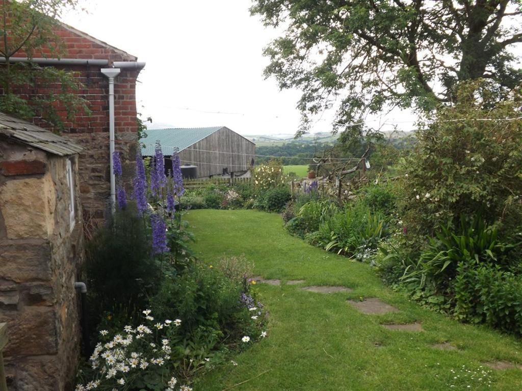 Hillis Close Farm Cottage Haltwhistle Exterior photo