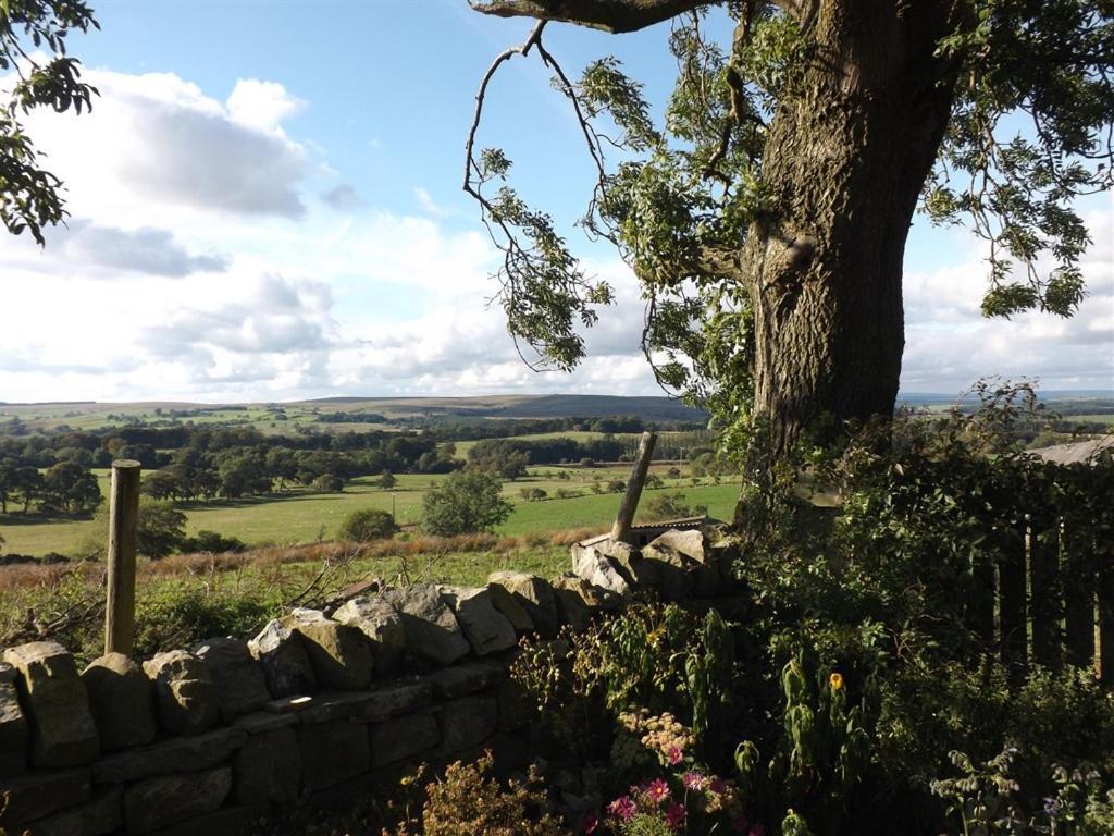 Hillis Close Farm Cottage Haltwhistle Exterior photo